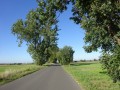 DSC02160