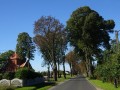 DSC02164