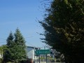 DSC02165