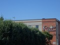DSC02184