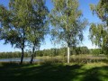 DSC02199