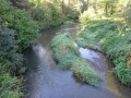 DSC02227
