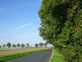 DSC02229