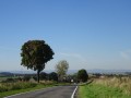 DSC02235