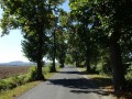 DSC02243