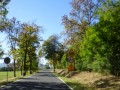 DSC02247