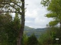 DSC02274