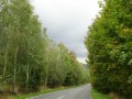 DSC02294