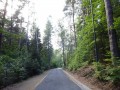 DSC02301