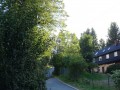 DSC02304