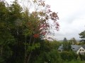 DSC02310