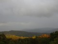 DSC02311