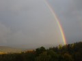DSC02312