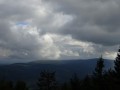 DSC02334