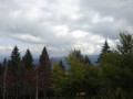DSC02338