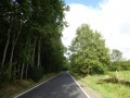 DSC02340