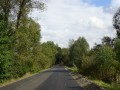 DSC02342