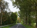 DSC02343