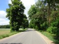 DSC02753