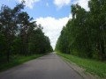 DSC02754