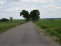 DSC02755