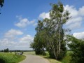 DSC02762