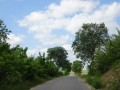 DSC02766