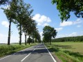 DSC02768