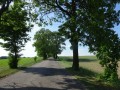DSC02774