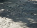DSC02775