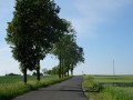 DSC02779
