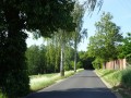 DSC02780