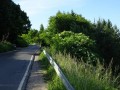 DSC02783