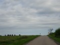 DSC03396