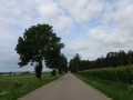 DSC03398
