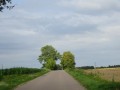 DSC03399