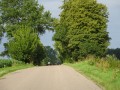 DSC03401