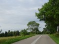 DSC03404