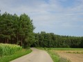 DSC03407