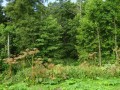 DSC03409
