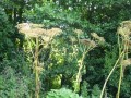 DSC03412