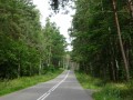 DSC03415