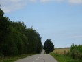 DSC03418