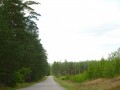 DSC03429