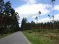 DSC03430