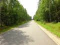 DSC03433