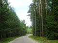 DSC03436