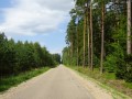 DSC03437