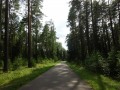 DSC03445