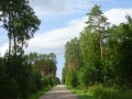 DSC03447